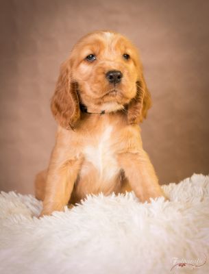 7 Kleine Engelchen :-)_72