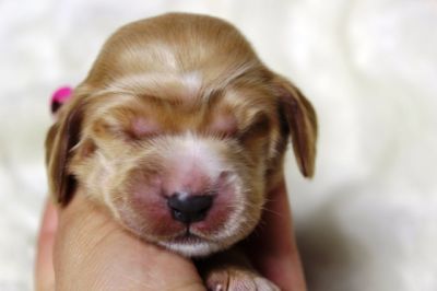 Wenn aus Liebe Leben wird...