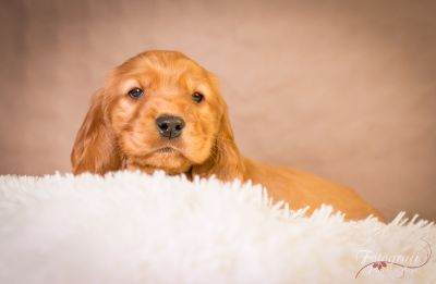 7 Kleine Engelchen :-)_97