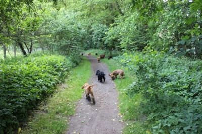 Das Große Ben Wellentreffen_4