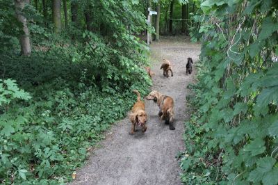 Das Große Ben Wellentreffen_5