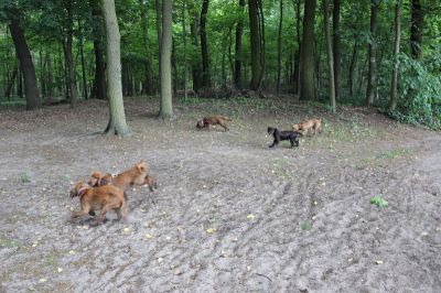 Das Große Ben Wellentreffen_6