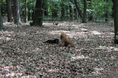 Das Große Ben Wellentreffen_7