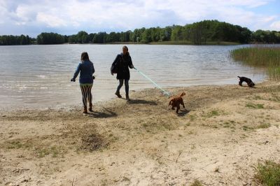 Das Große Ben Wellentreffen_9