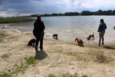 Das Große Ben Wellentreffen_10