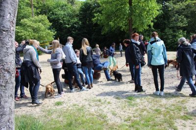 Das Große Ben Wellentreffen_12