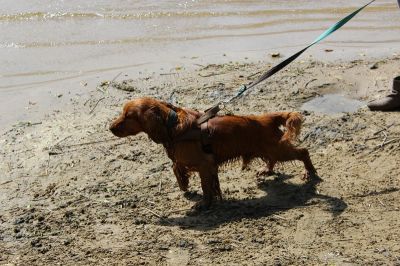 Das Große Ben Wellentreffen_14