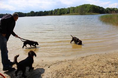 Das Große Ben Wellentreffen_16