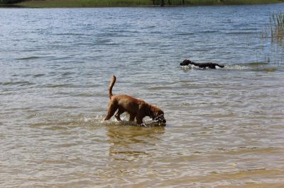 Das Große Ben Wellentreffen_18