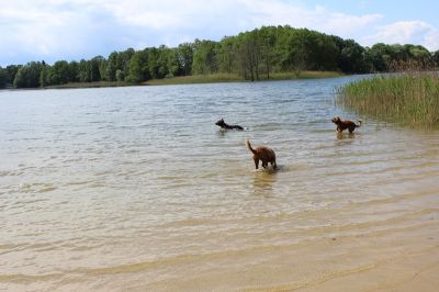Das Große Ben Wellentreffen_19