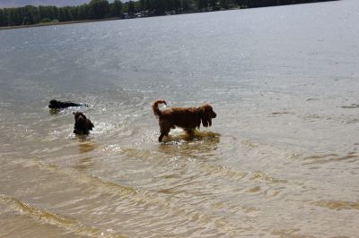 Das Große Ben Wellentreffen_20