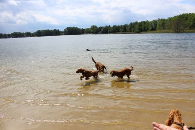 Das Große Ben Wellentreffen_21
