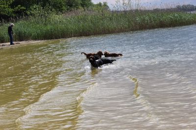 Das Große Ben Wellentreffen_22