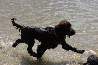 Das Große Ben Wellentreffen_23