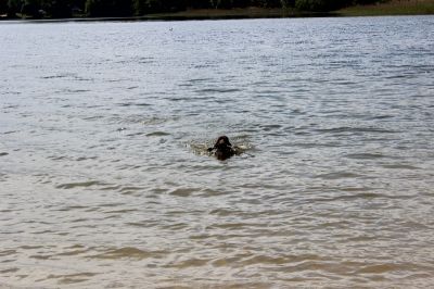 Das Große Ben Wellentreffen_24