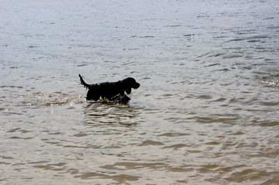 Das Große Ben Wellentreffen_25