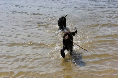 Das Große Ben Wellentreffen_26