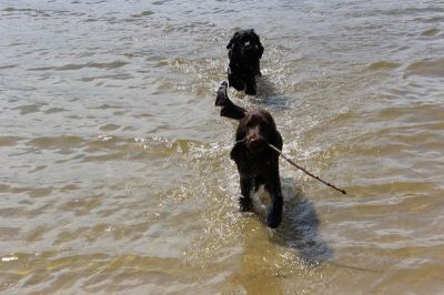 Das Große Ben Wellentreffen_27