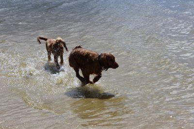 Das Große Ben Wellentreffen_28