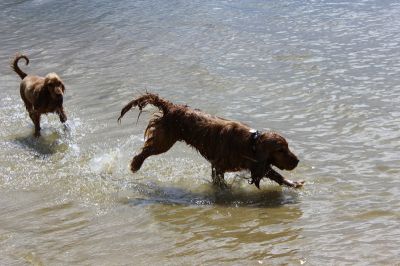 Das Große Ben Wellentreffen_29