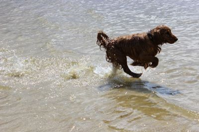 Das Große Ben Wellentreffen_30