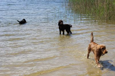 Das Große Ben Wellentreffen_32