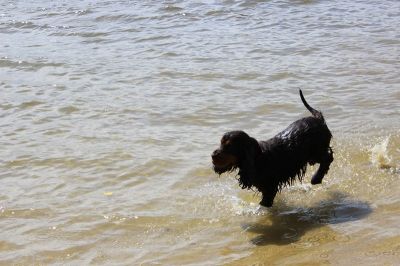 Das Große Ben Wellentreffen_33