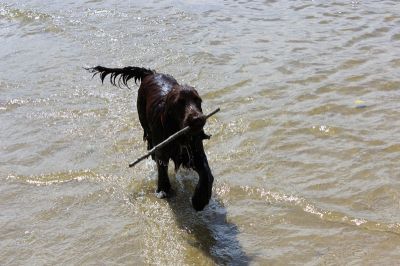 Das Große Ben Wellentreffen_34