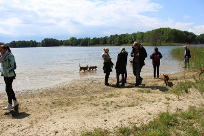 Das Große Ben Wellentreffen_40