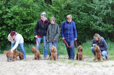 Das Große Ben Wellentreffen_50