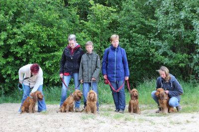 Das Große Ben Wellentreffen_51