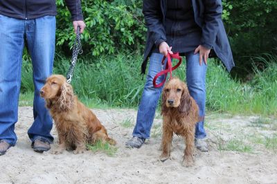 Das Große Ben Wellentreffen_64