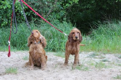 Das Große Ben Wellentreffen_66