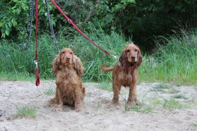 Das Große Ben Wellentreffen_67