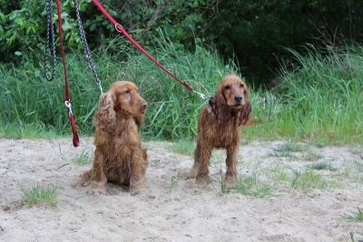 Das Große Ben Wellentreffen_68