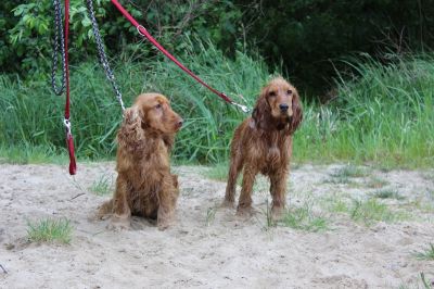 Das Große Ben Wellentreffen_69