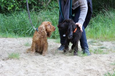 Das Große Ben Wellentreffen_70