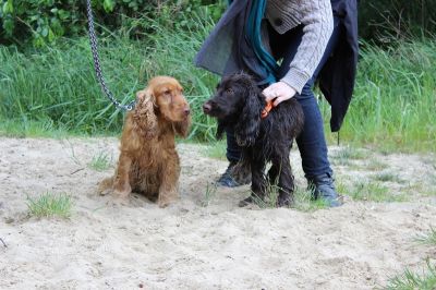 Das Große Ben Wellentreffen_71