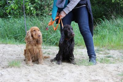 Das Große Ben Wellentreffen_72