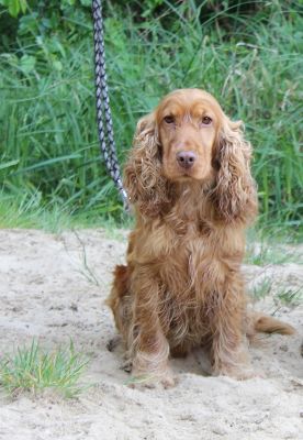 Das Große Ben Wellentreffen_73