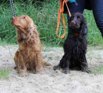 Das Große Ben Wellentreffen_74