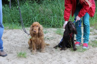 Das Große Ben Wellentreffen_75