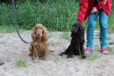 Das Große Ben Wellentreffen_76