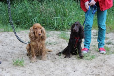 Das Große Ben Wellentreffen_77