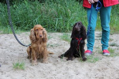 Das Große Ben Wellentreffen_78