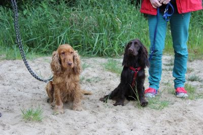 Das Große Ben Wellentreffen_79