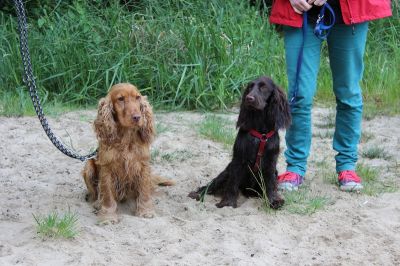 Das Große Ben Wellentreffen_80