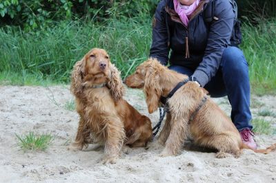 Das Große Ben Wellentreffen_81