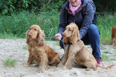 Das Große Ben Wellentreffen_82