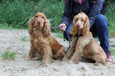 Das Große Ben Wellentreffen_85